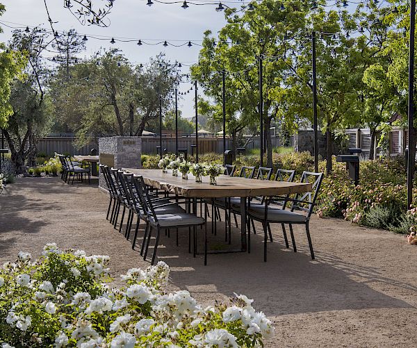 An outdoor dining area with a long table surrounded by chairs, set in a garden adorned with flowers and string lights overhead, under a clear sky.
