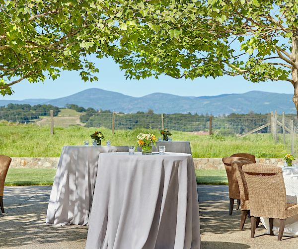 Outdoor event with tall tables covered in grey tablecloths, chairs around, green scenery, trees overhead, and mountains in the distance.