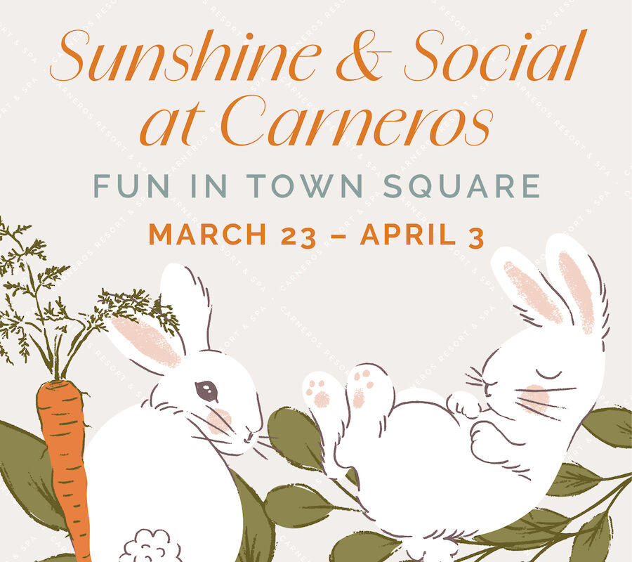 Illustration of two white rabbits with a carrot and leaves, promoting 