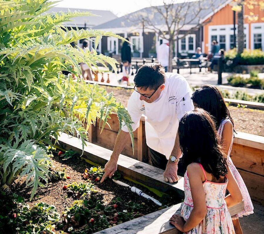 A person is showing two children plants in a garden bed in an outdoor setting, with buildings visible in the background.