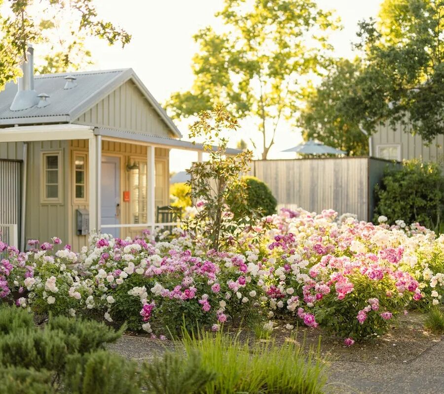 A cozy house with a small porch, surrounded by lush green plants and blooming pink and white flowers, under a clear sky at sunset.