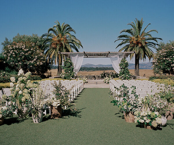 An outdoor wedding setup with white chairs, floral decorations, and a wooden pergola, framed by palm trees under a clear blue sky.