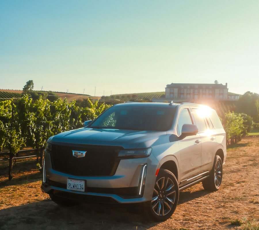 A silver SUV is parked on a dirt path in a vineyard under a clear blue sky with the sun shining from behind.