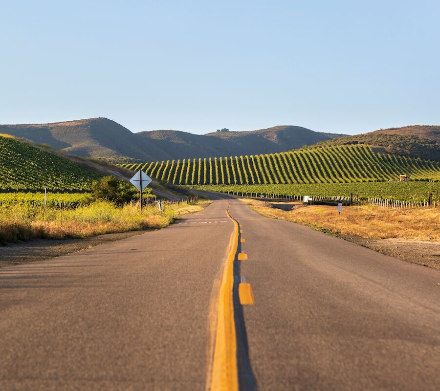 A rural road leads through rolling hills with lush vineyards under a clear blue sky, creating a scenic and tranquil landscape.