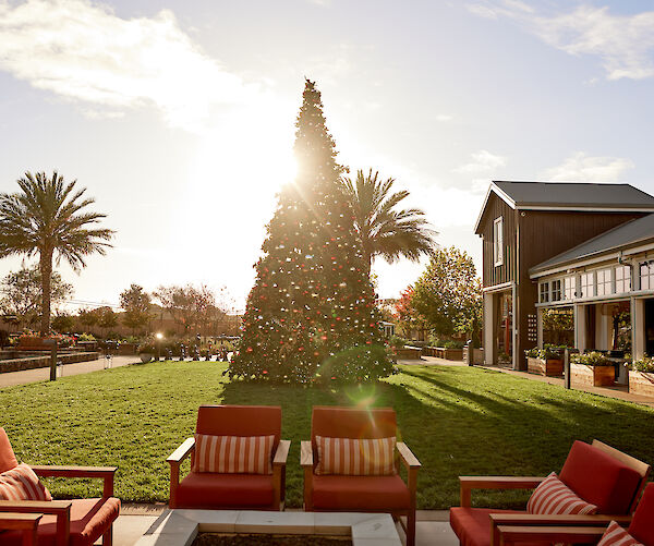 A sunlit courtyard features a large decorated Christmas tree, patio chairs, palm trees, and a barn-style building in the background.