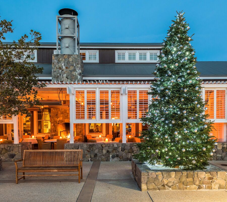 The image shows a decorated Christmas tree in front of a warmly lit building with benches and trees adorned with lights.