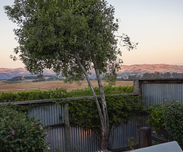 A patio area with a tree, small fire pit, and fence, overlooking a scenic landscape at sunset.