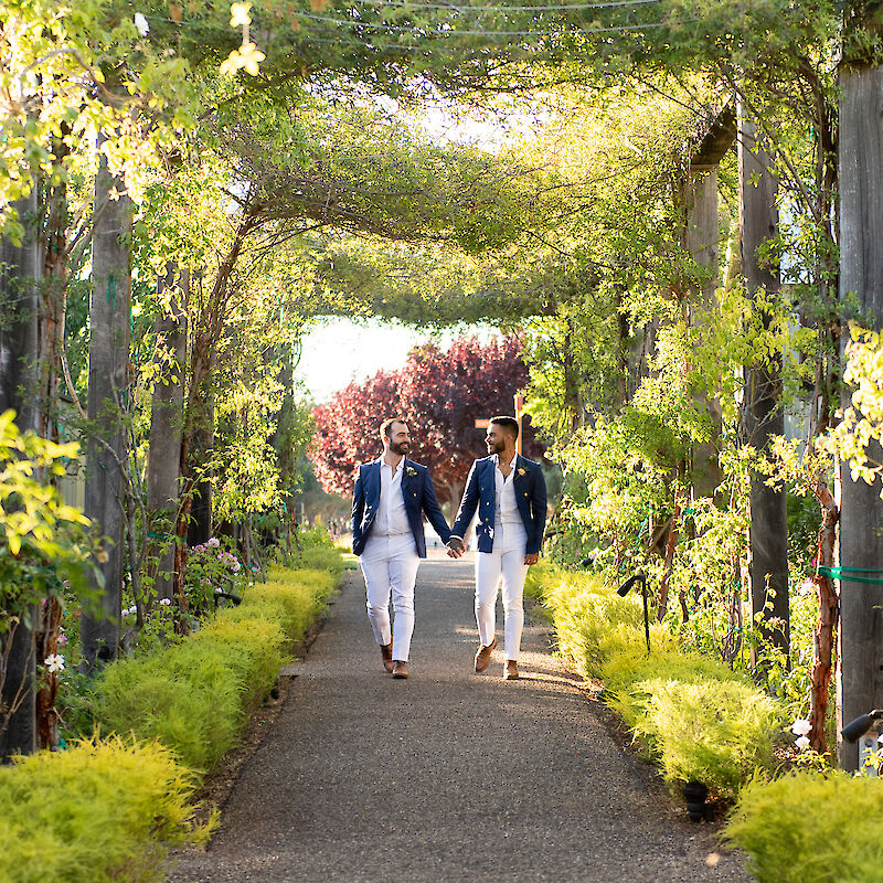 Two people are walking hand in hand down a garden path lined with lush greenery and flowering bushes.