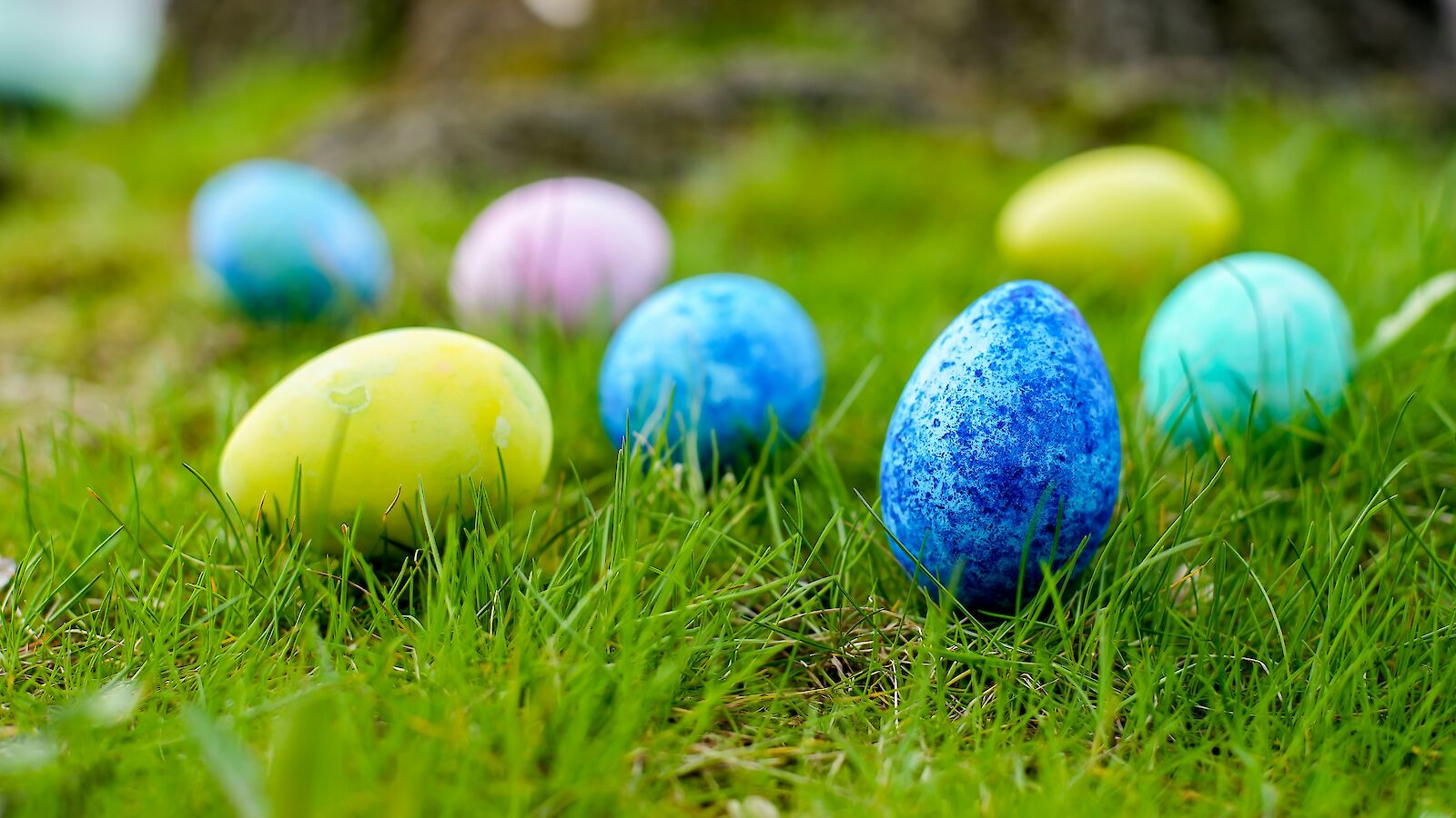Colorful Easter eggs are scattered on green grass, creating a festive and vibrant outdoor scene.