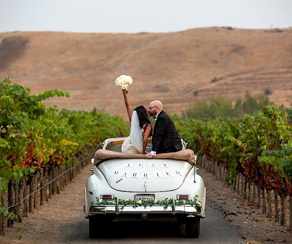 A newlywed couple in wedding attire drives through a vineyard in a classic car with 
