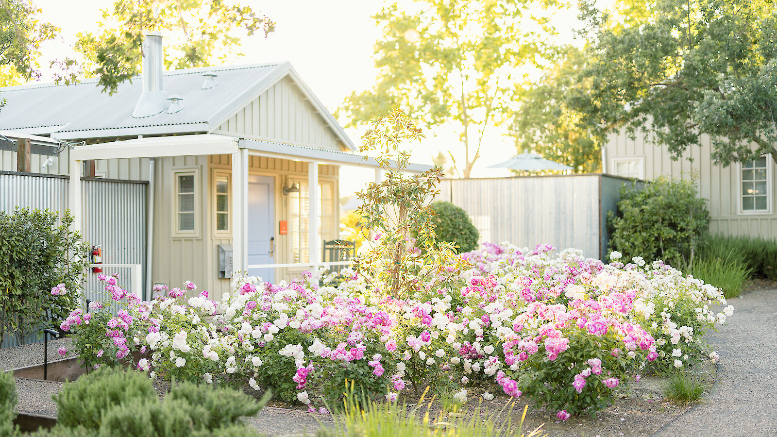 A quaint house with a porch is surrounded by vibrant pink and white flowers, nestled among trees under a bright, sunny sky.