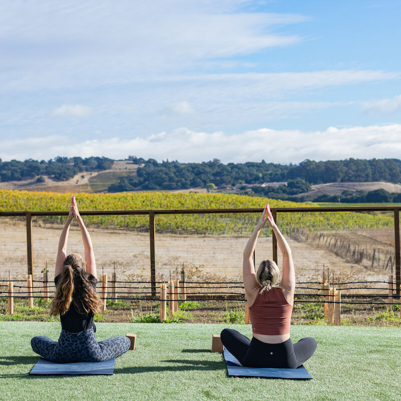 Two people practicing yoga outdoors on mats with a scenic view of hills and vineyards under a blue sky.