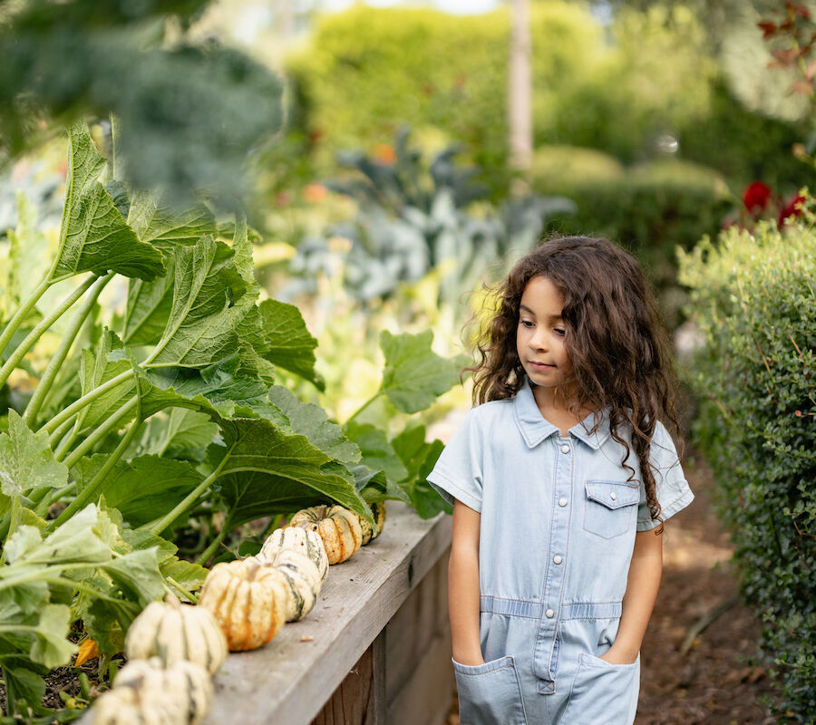 A child walking along a garden path, with small pumpkins lined up on a low wooden wall, surrounded by greenery.