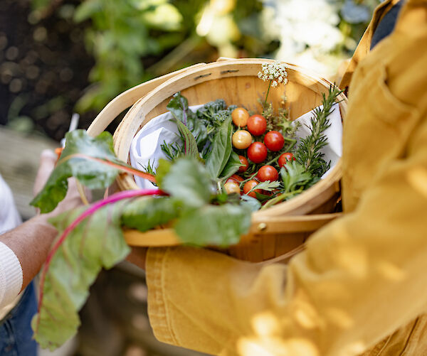 Two people are holding a basket filled with fresh vegetables and herbs, including tomatoes and leafy greens, in a garden setting.