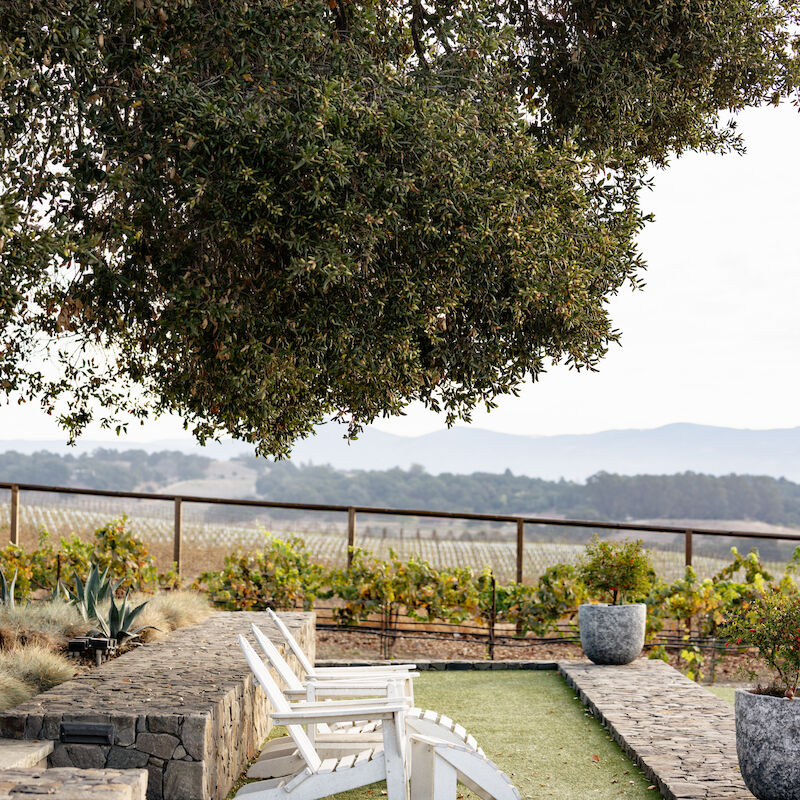 A serene outdoor setting with a white chair under a large tree, overlooking a scenic landscape with hills in the background.