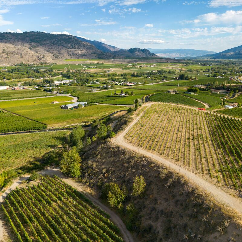 The image shows a scenic aerial view of a landscape with vineyards, rolling hills, and a rural area surrounded by distant mountains.