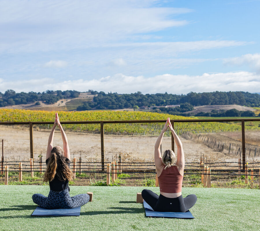 Two individuals are practicing yoga on mats outdoors with scenic views of hills, fields, and a partly cloudy sky in the background.